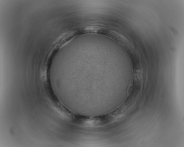 X0000111130504200906301213