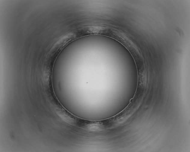 X0000111130505200906301213