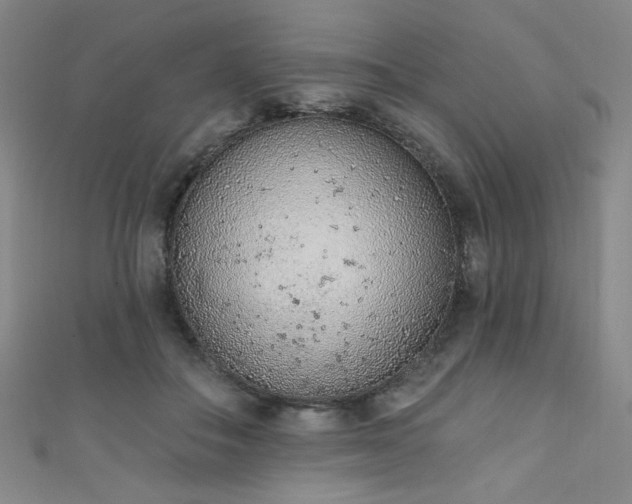 X0000111130506200906301213