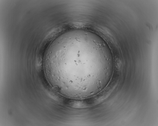 X0000111130507200906301213