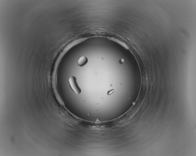 X0000111130508200906301213