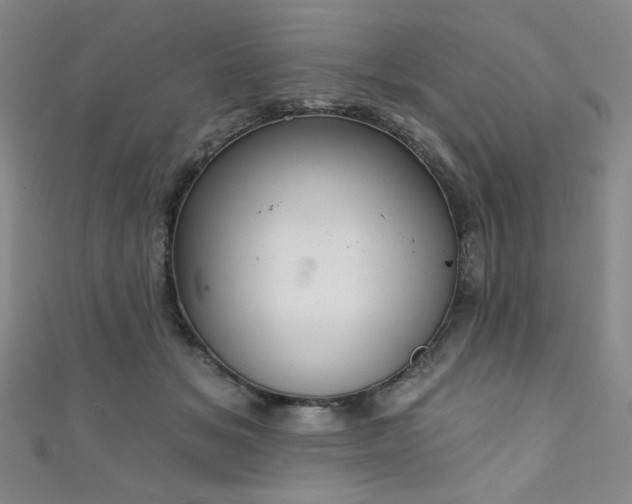 X0000111130509200906301213