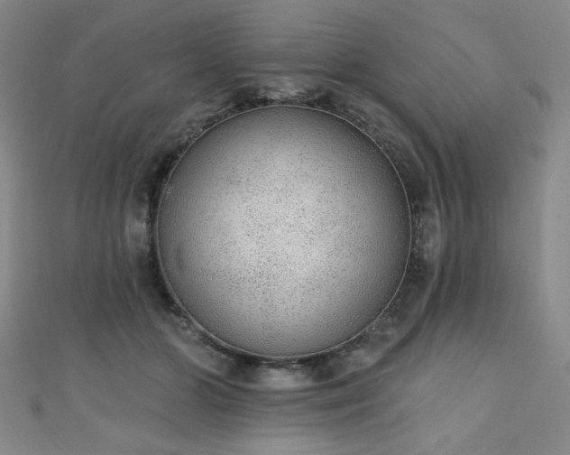 X0000111130510200906301213