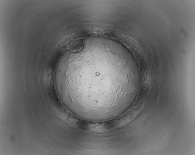 X0000111130511200906301213