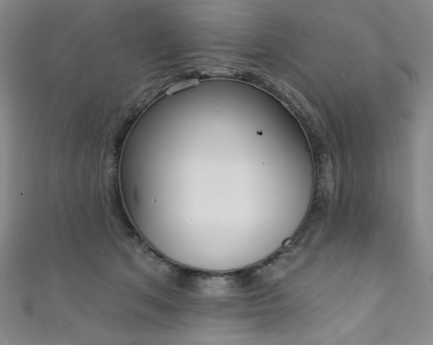 X0000111130513200906301213