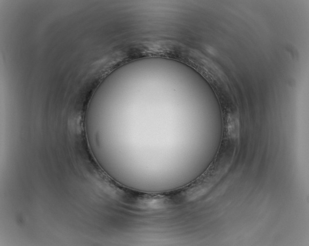 X0000111130514200906301213