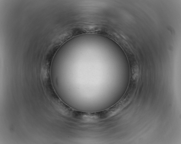 X0000111130515200906301213