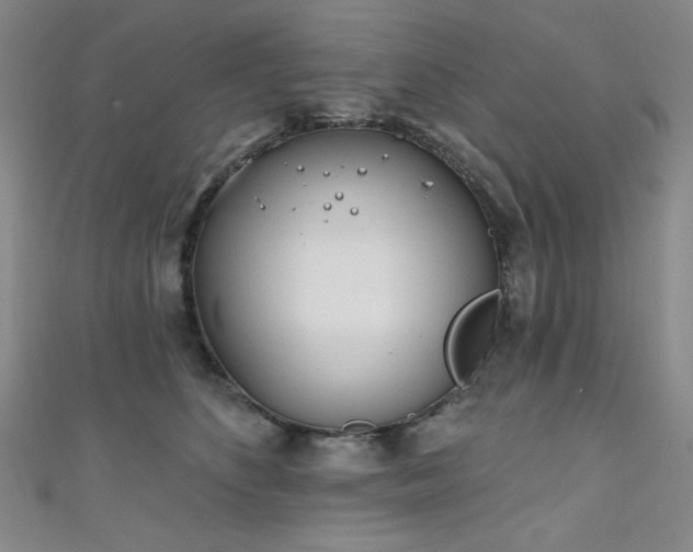X0000111130516200906301213
