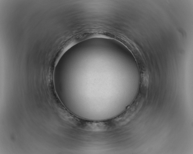 X0000111130517200906301213