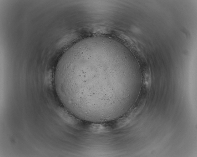 X0000111130519200906301213