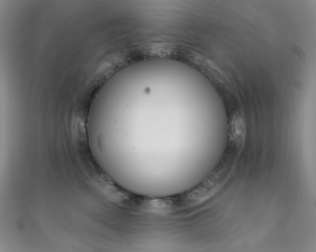 X0000111130522200906301213