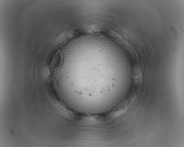 X0000111130523200906301213
