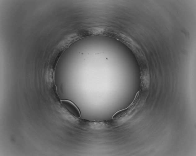 X0000111130525200906301213