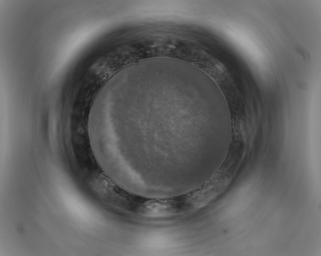X0000111130526200906301213