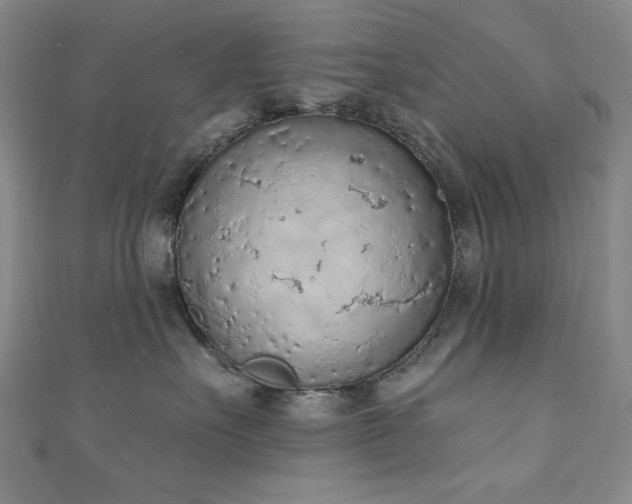 X0000111130527200906301213