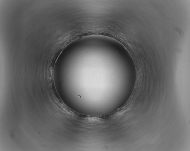 X0000111130528200906301213