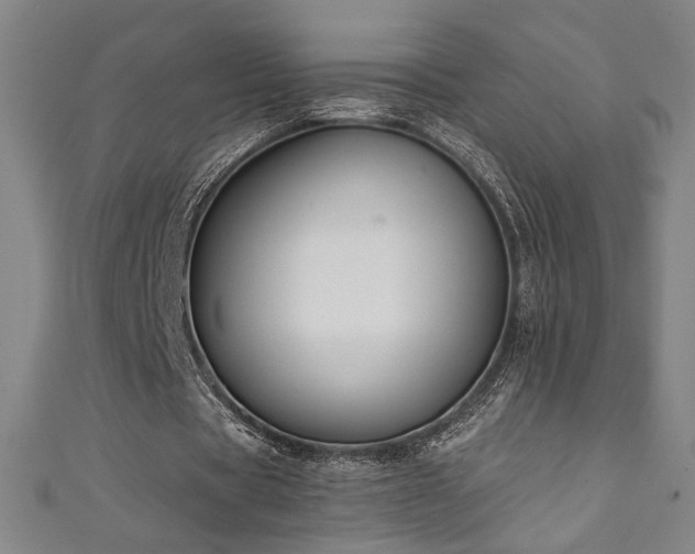 X0000111130529200906301212