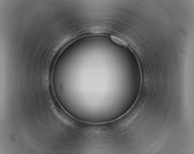 X0000111130530200906301212