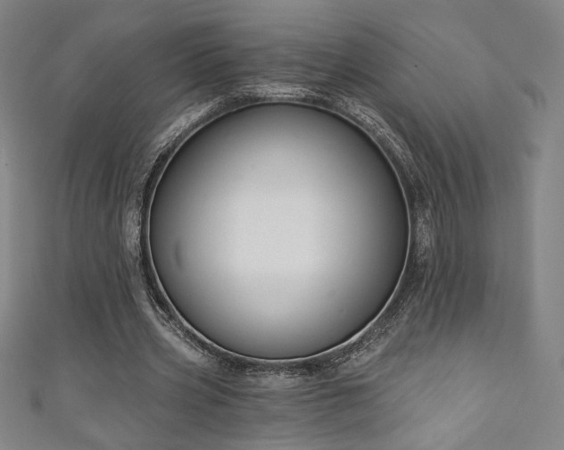 X0000111130533200906301212