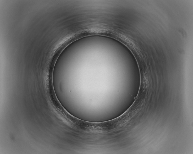 X0000111130535200906301212