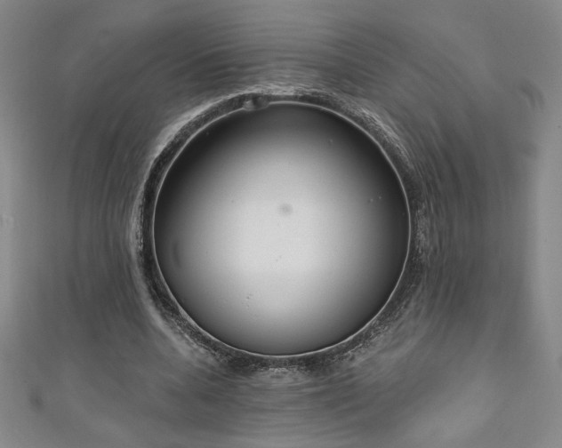 X0000111130536200906301212