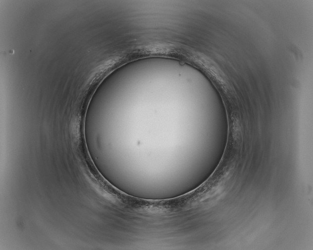 X0000111130537200906301212