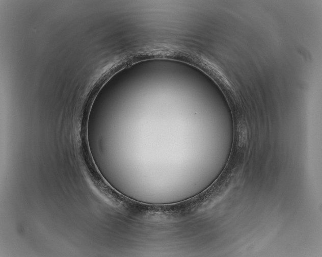 X0000111130538200906301212