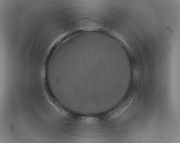 X0000111130539200906301212