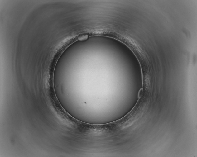 X0000111130540200906301212