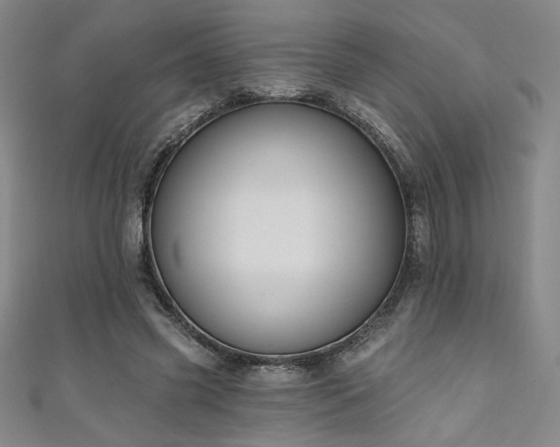 X0000111130541200906301212