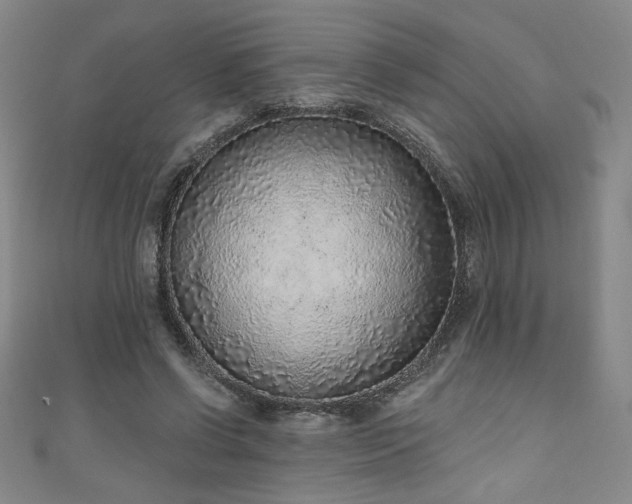 X0000111130542200906301212