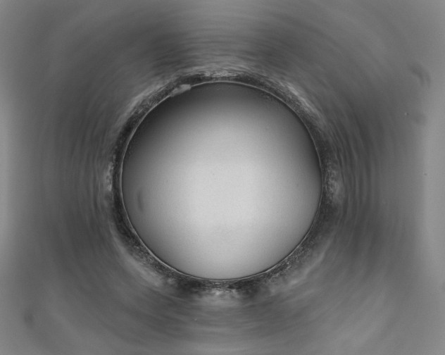 X0000111130543200906301212