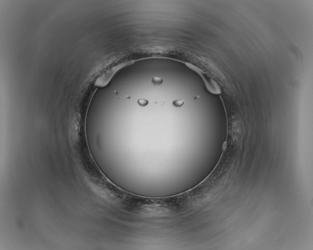 X0000111130544200906301212