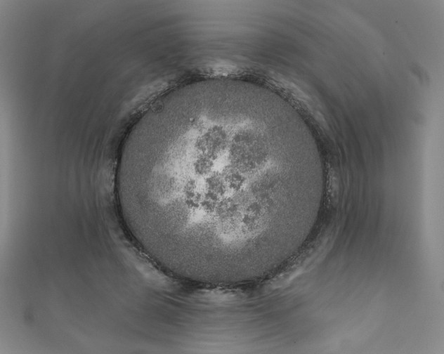 X0000111130545200906301212