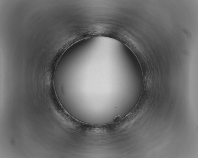 X0000111130546200906301212