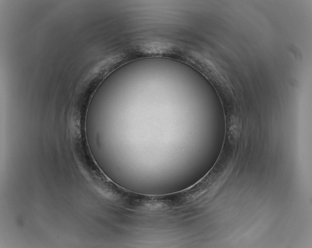 X0000111130547200906301212
