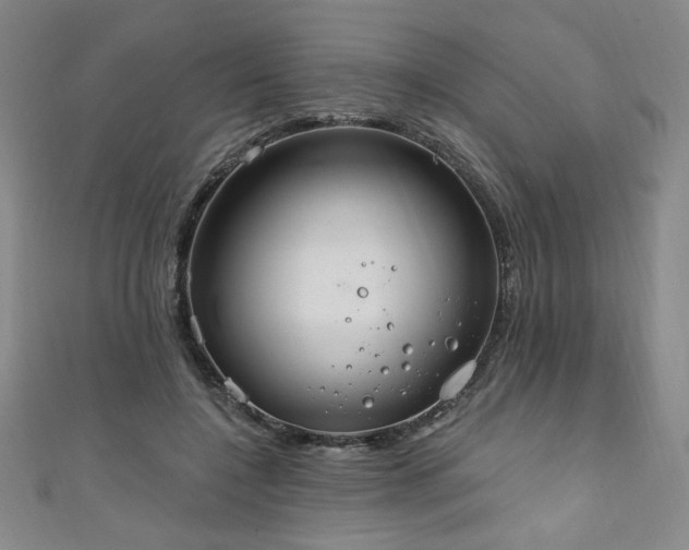 X0000111130548200906301212