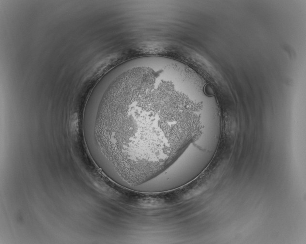 X0000111130549200906301212