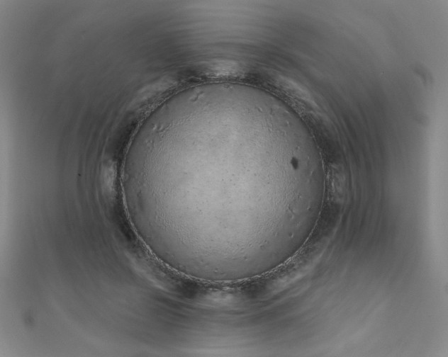 X0000111130550200906301212