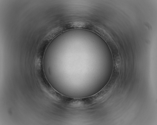 X0000111130551200906301212