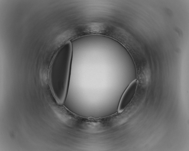 X0000111130552200906301212