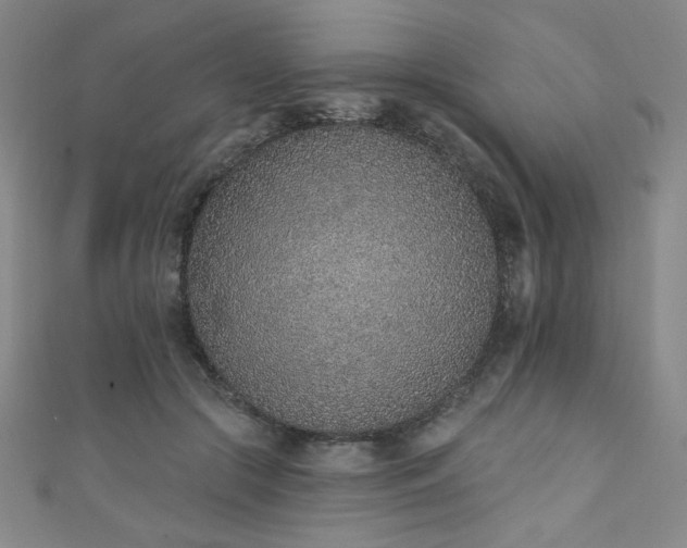 X0000111130553200906301212