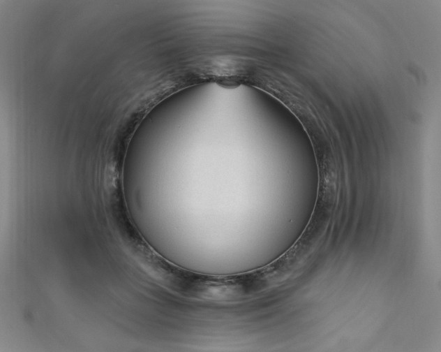 X0000111130555200906301212