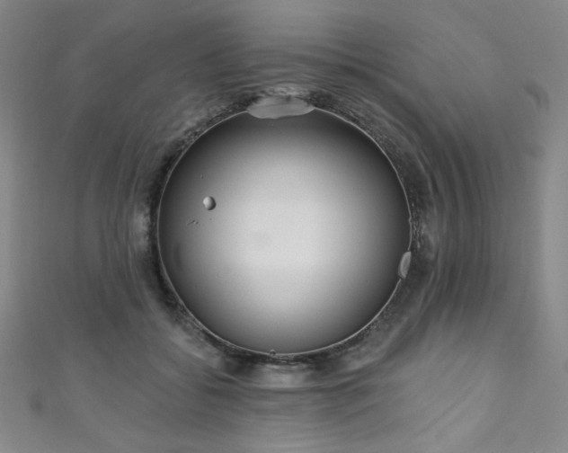 X0000111130556200906301212