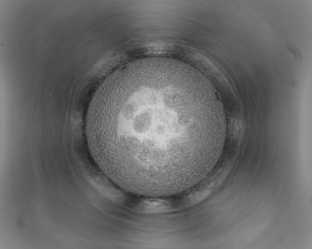 X0000111130557200906301212