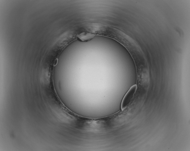 X0000111130558200906301212