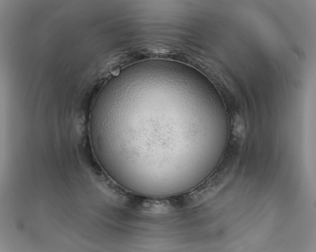 X0000111130559200906301212