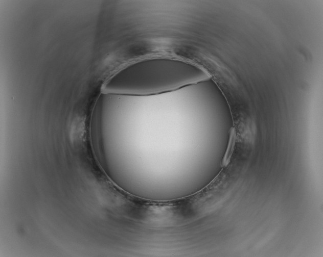 X0000111130560200906301212