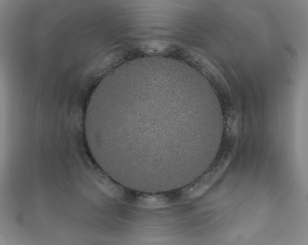 X0000111130561200906301212