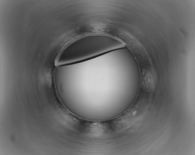 X0000111130562200906301212